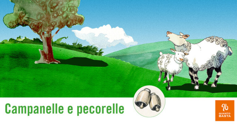 copertina di Campanelle e pecorelle