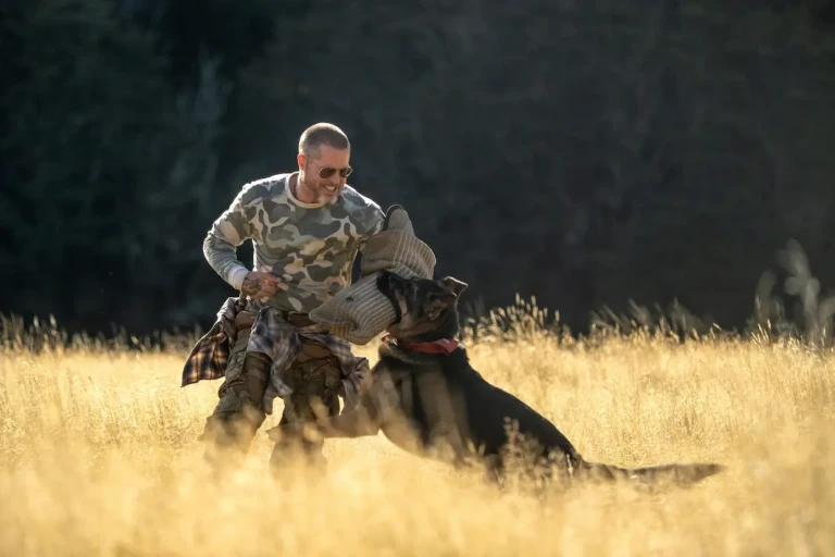 immagine di Heart of the beast - Nel profondo selvaggio