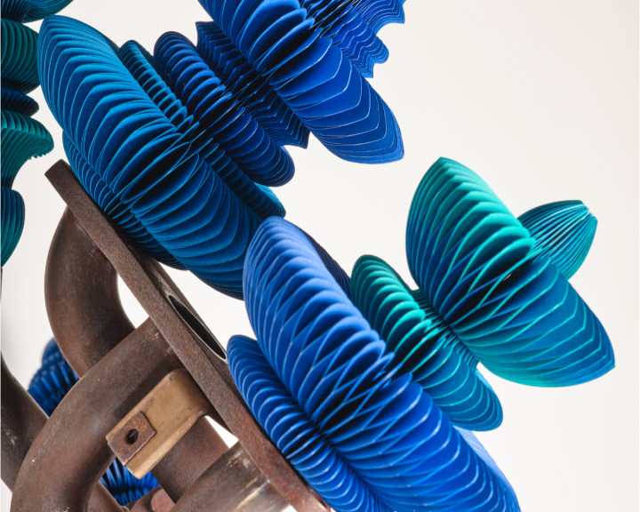 copertina di Inaugura la mostra “Keita Miyazaki. The garden of vanities” a Palazzo Tozzoni