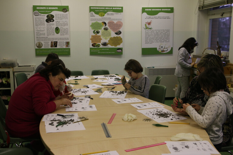 copertina di In natura tutto conta