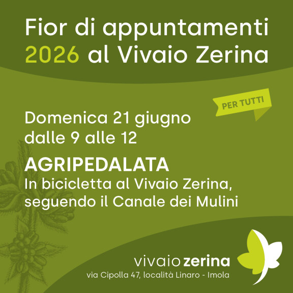 Quadrato 2026 06 21