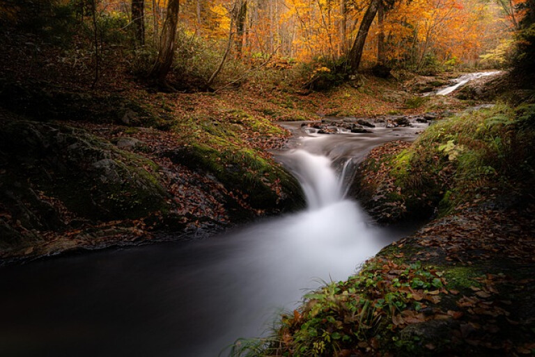 copertina di Il fiume: rischio e risorsa