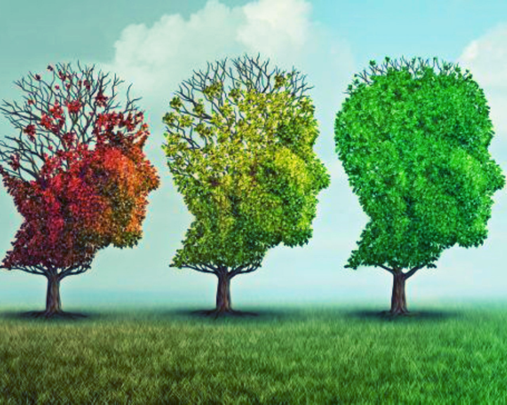 copertina di La cura delle persone con decadimento cognitivo