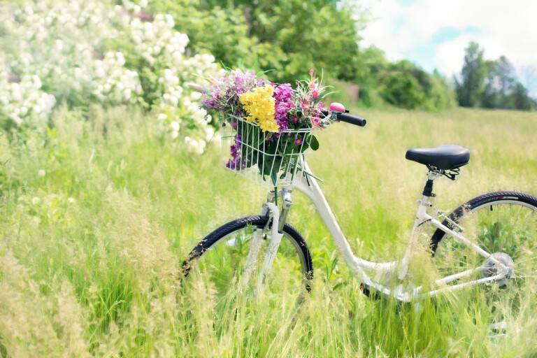 copertina di Agripedalata per tutte le età