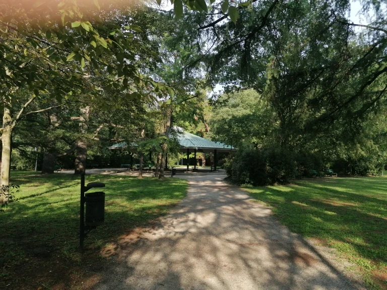 copertina di Attivamente al parco - il fisioterapista dove meno te lo aspetti