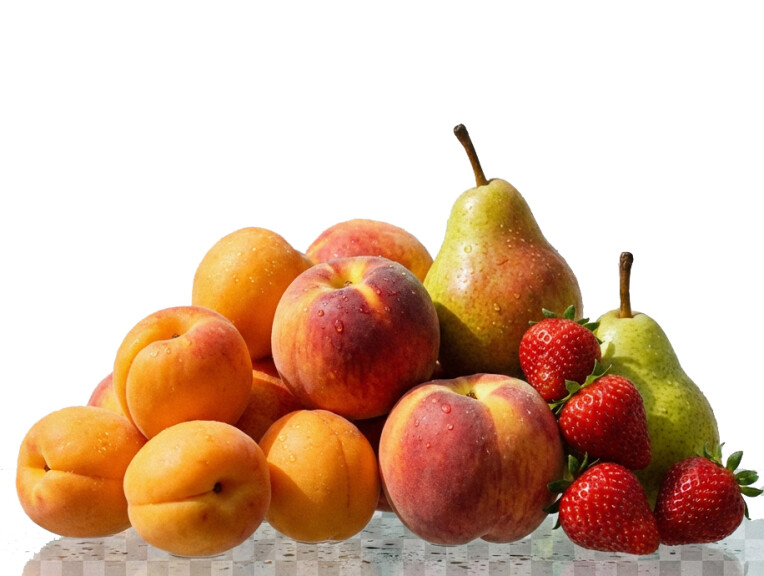 immagine di LA NASCITA DELLA FRUTTICOLTURA MODERNA, UN PATRIMONIO DELLE NOSTRE TERRE 