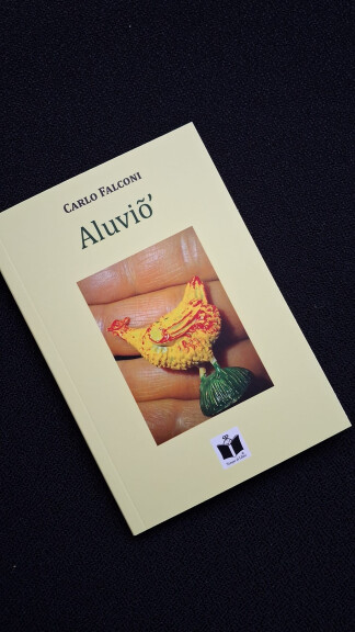 immagine di Alluviõ'
