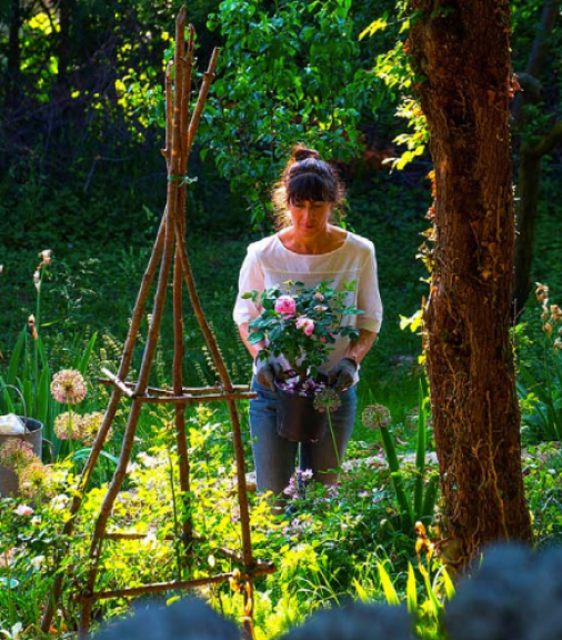 immagine di Prima delle piante: leggere e progettare lo spazio del giardino