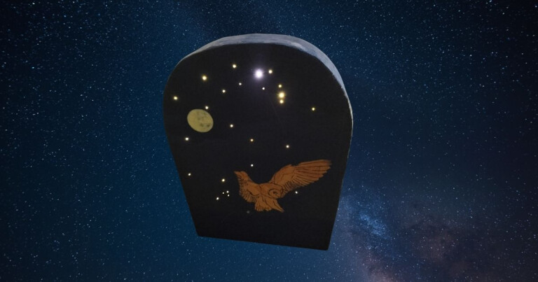 immagine di notturno