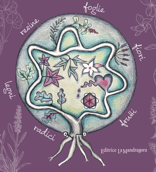 immagine di Il giardino senza tempo