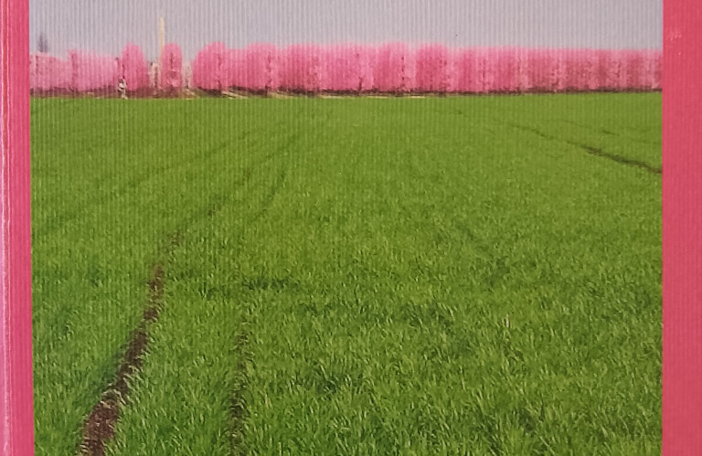 copertina di Racconti sulreale