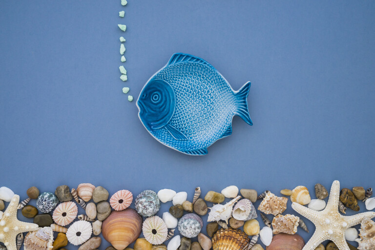 copertina di Mille forme dentro il mare. Conchiglie del passato e del presente