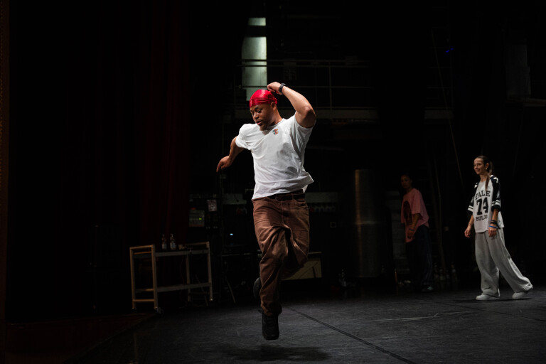 immagine di Gran galà Imola in danza