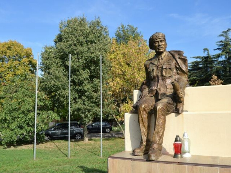 copertina di I polacchi che liberarono Imola