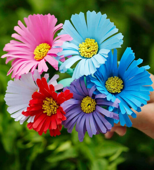copertina di Fiori e farfalle