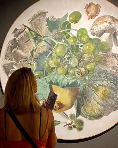 immagine di Visita guidata alla mostra: Natura in posa. Le stagioni di Wolfango