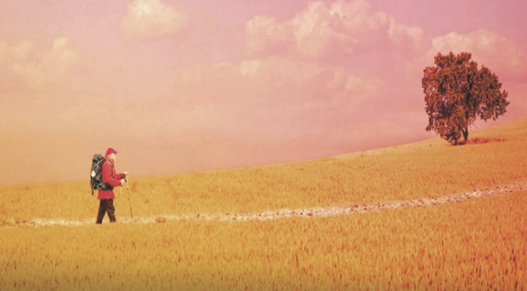 immagine di Il mio cammino