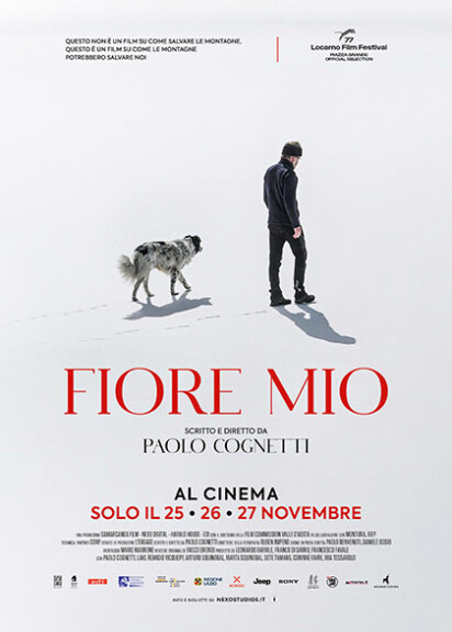 Locandina del film "Fiore Mio"