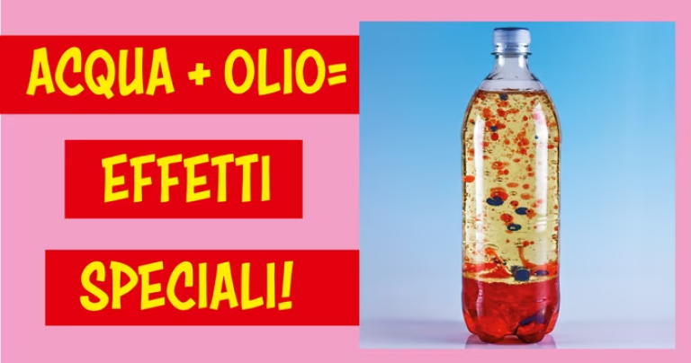 immagine di OLIO IN BOTTIGLIA